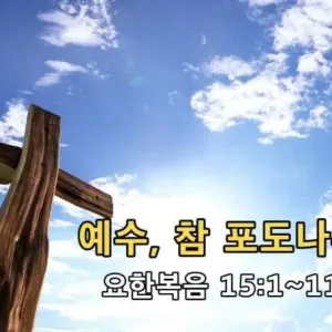 2021.03.14 / 예수, 참 포도나무(요 15:1~11)
